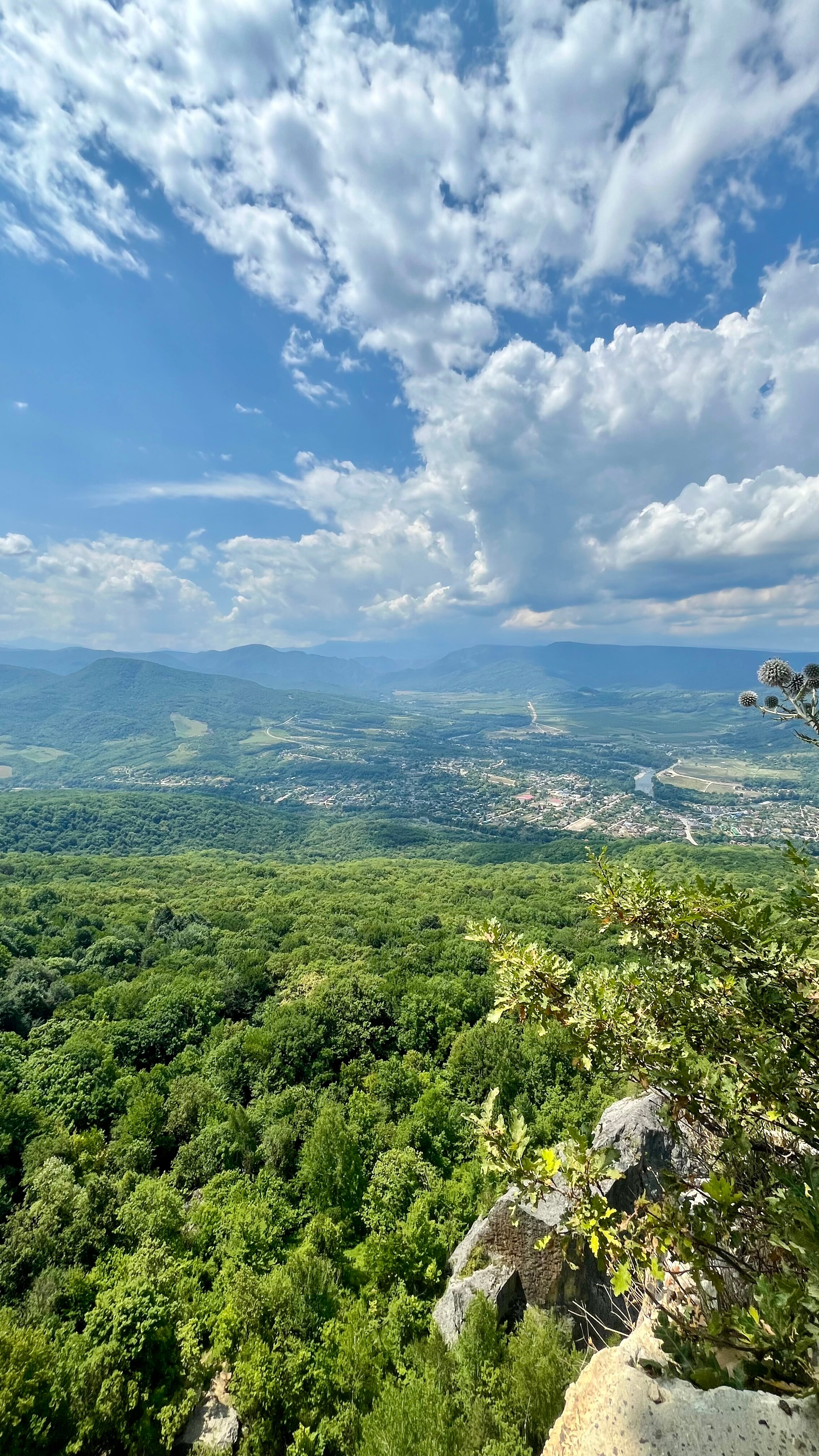 Фото Feshin Forest