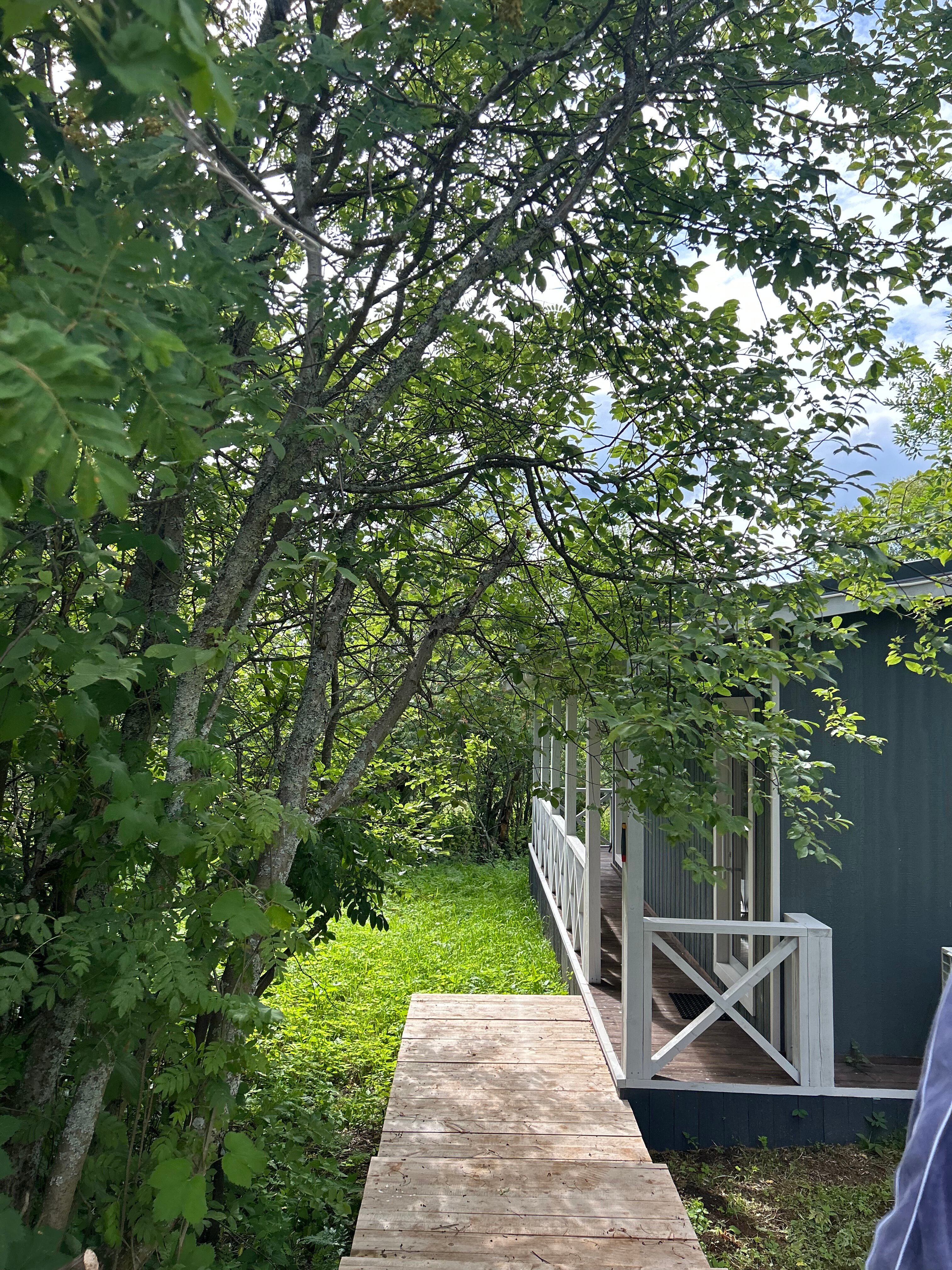 Фото Еремичи