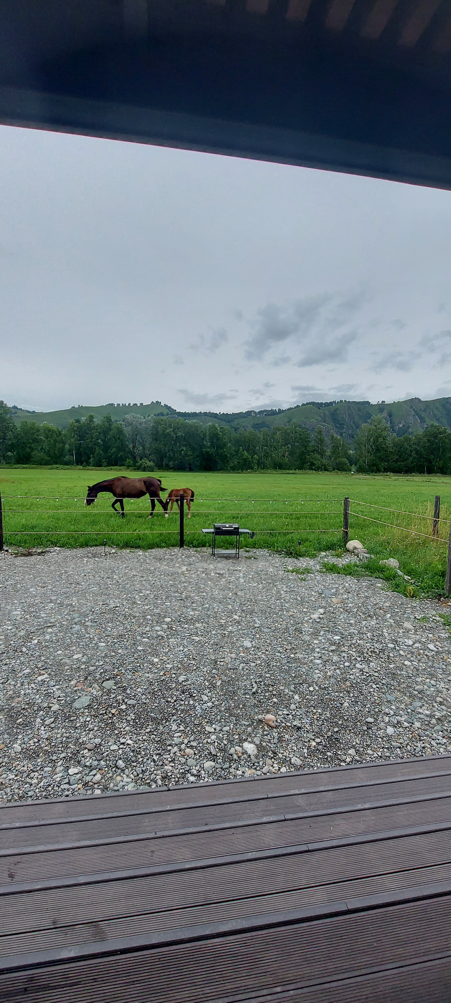 Фото Алтайдом Белогорье