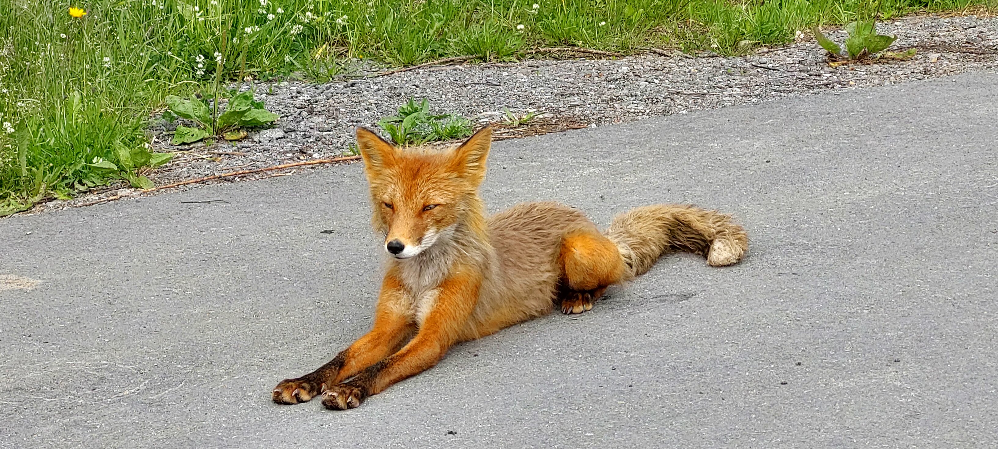 Фото Снежная Долина