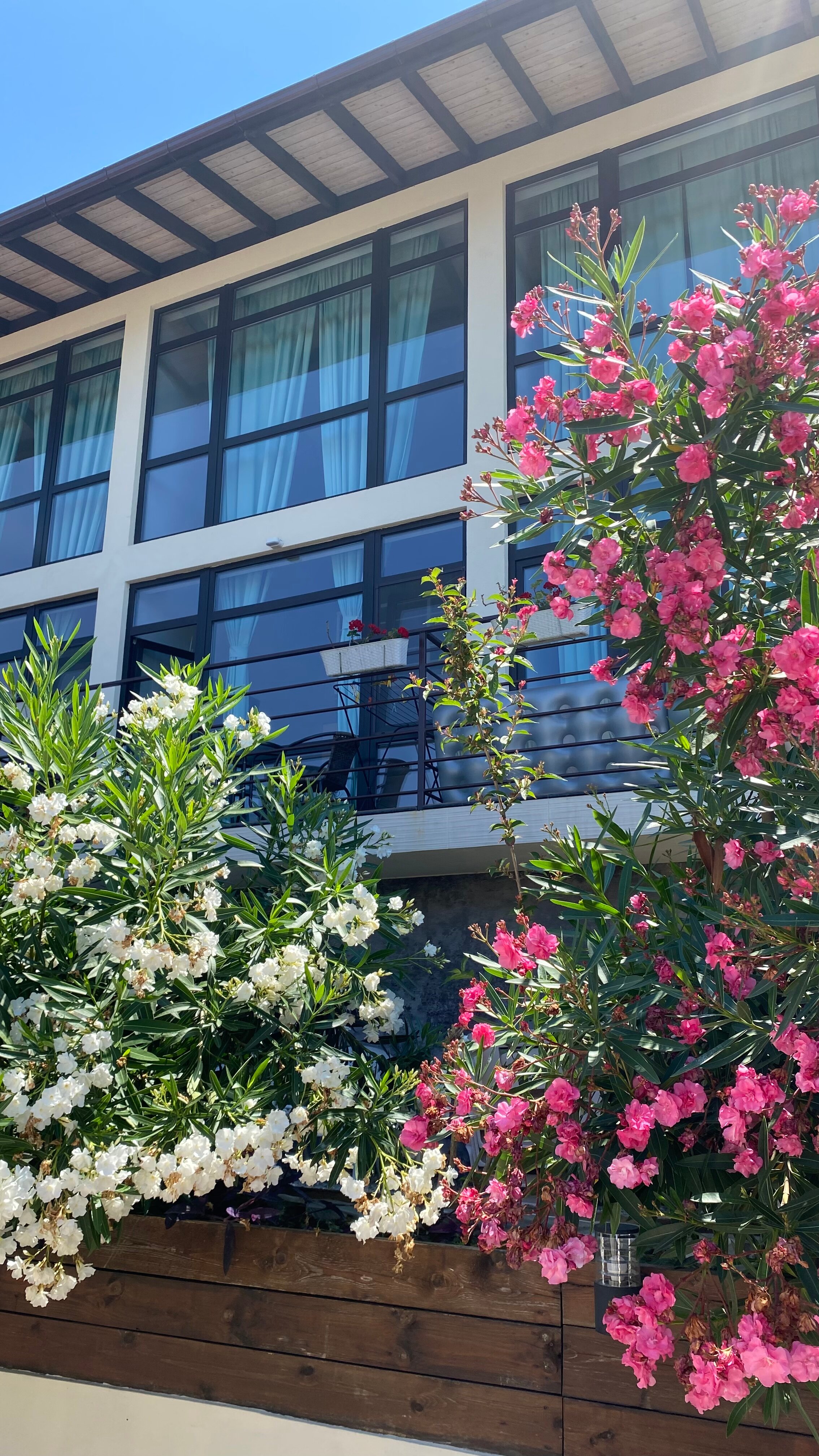 Фото Камбала