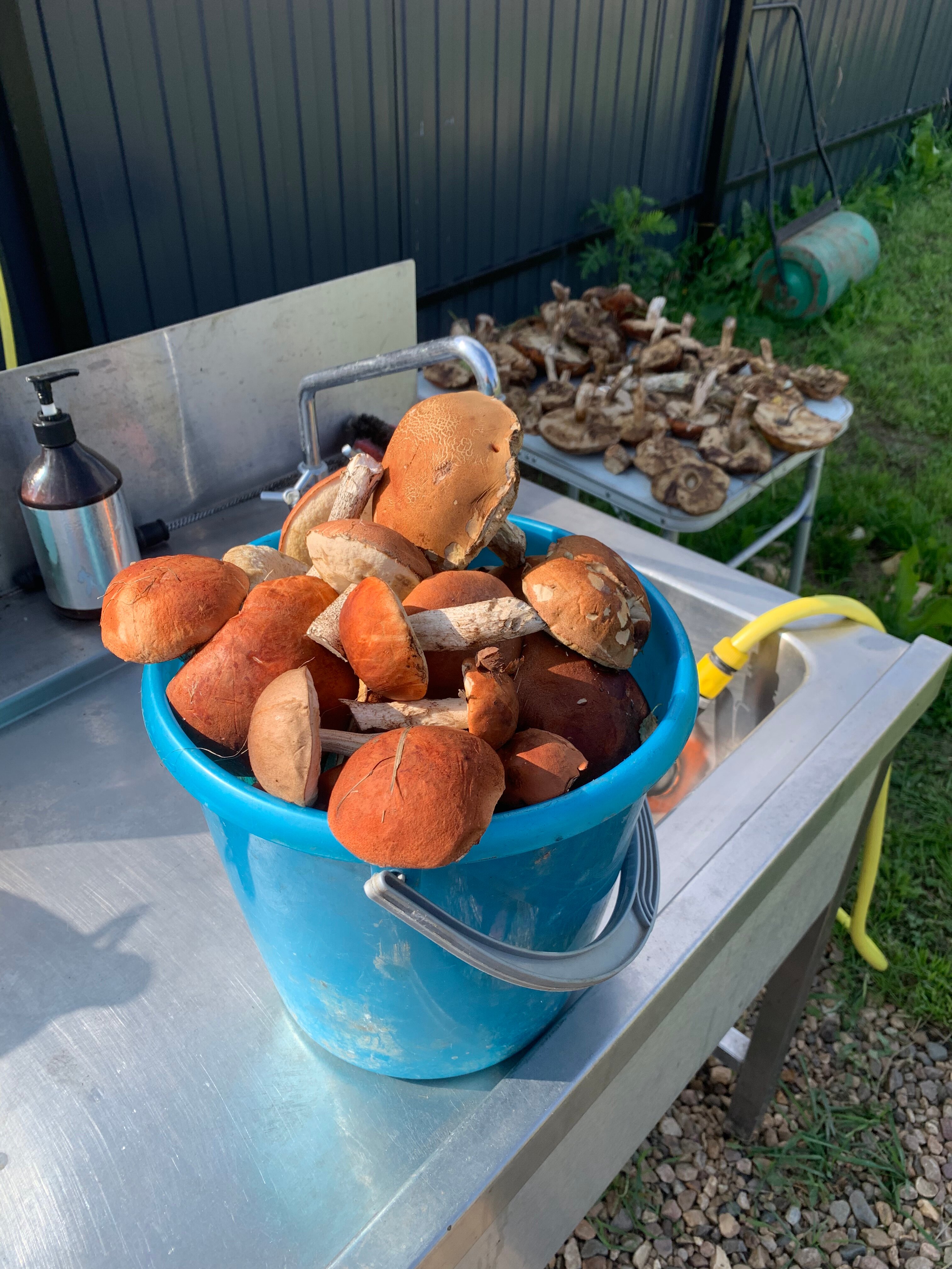 Фото Гагарин Барн