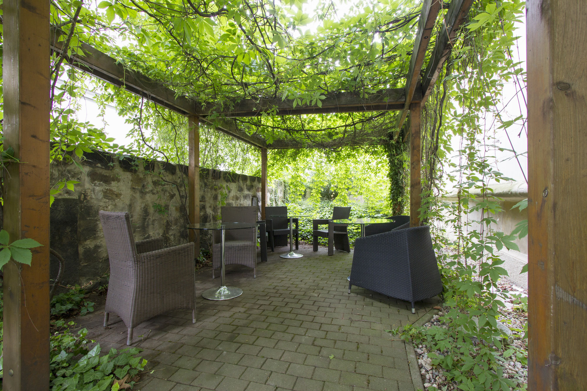 Фото Limehome Dresden Antonstraße