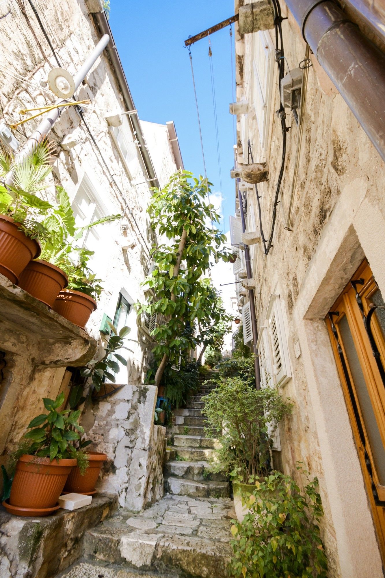 Фото Apartments Plaza