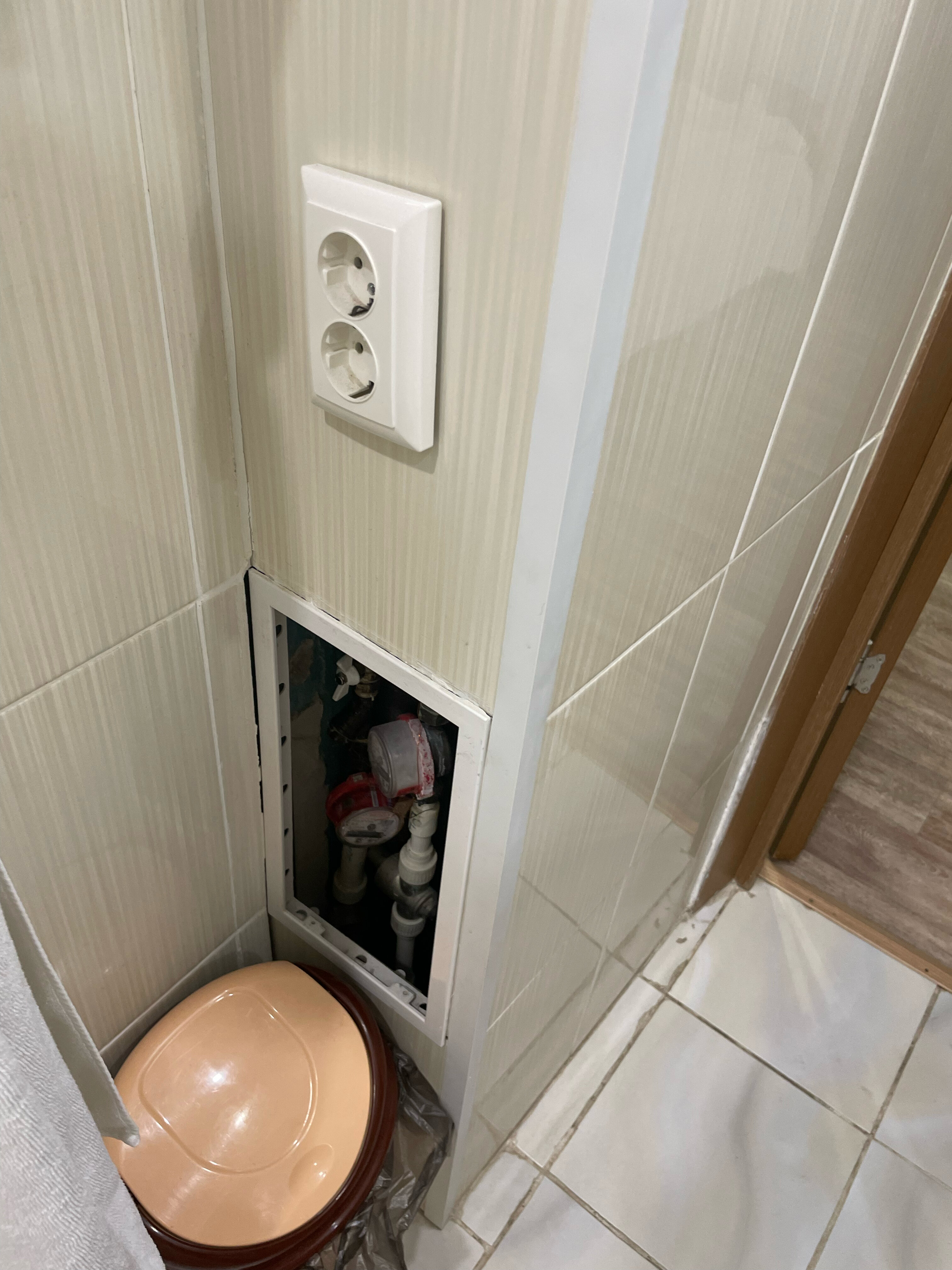 Фото Золотая рыбка