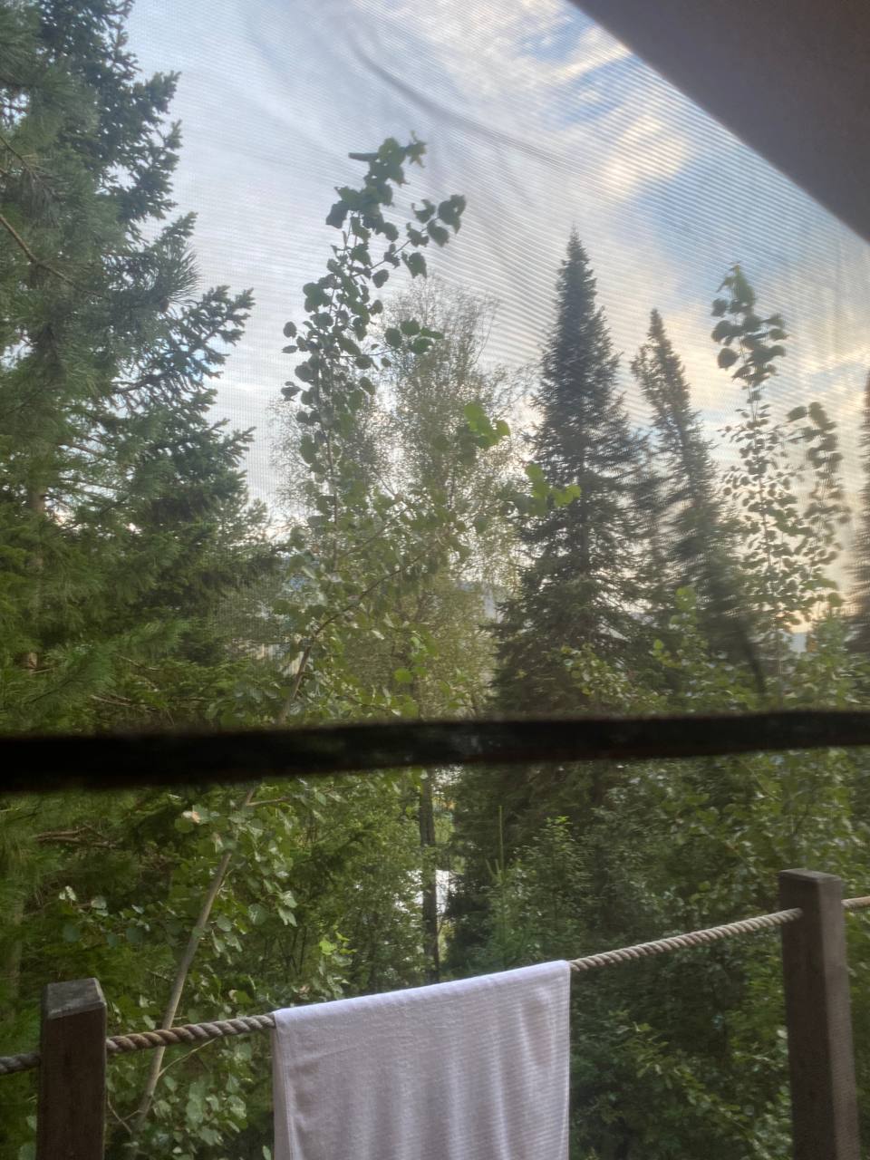 Фото Кедровая берлога