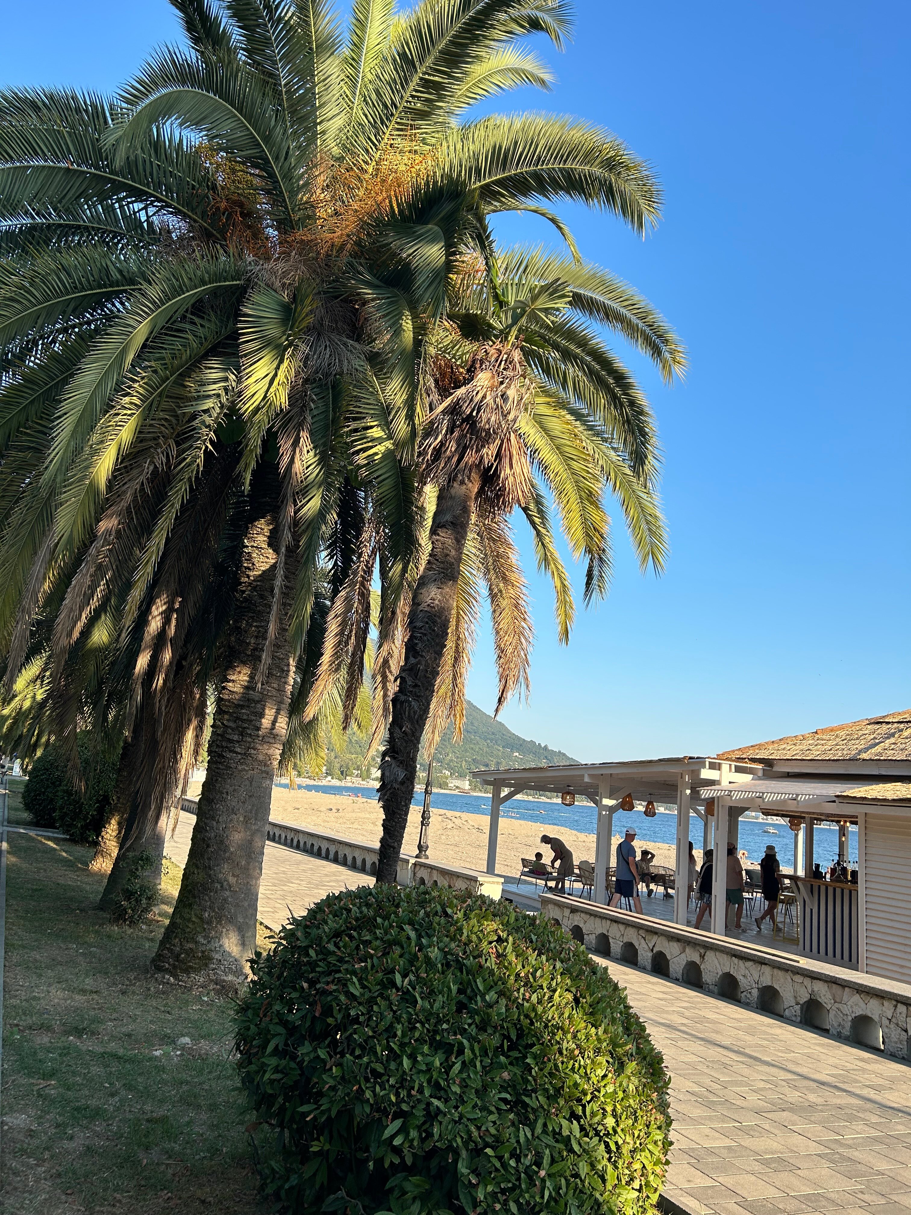 Фото 7 Кипарисов