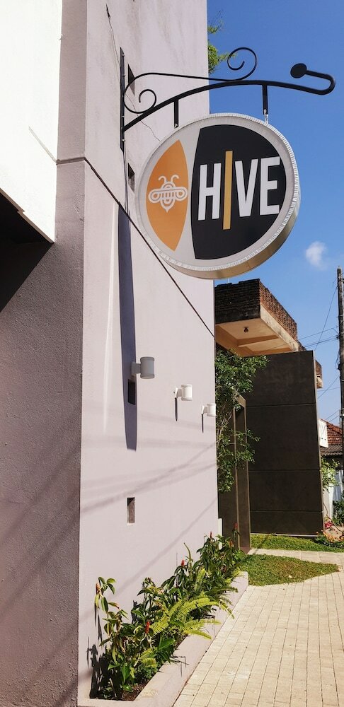 Фото Hive68