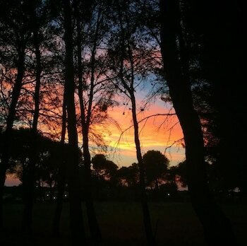 Фото Hotel Masseria Fabrizio