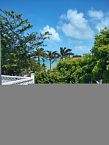 Гостиница The Great House Inn