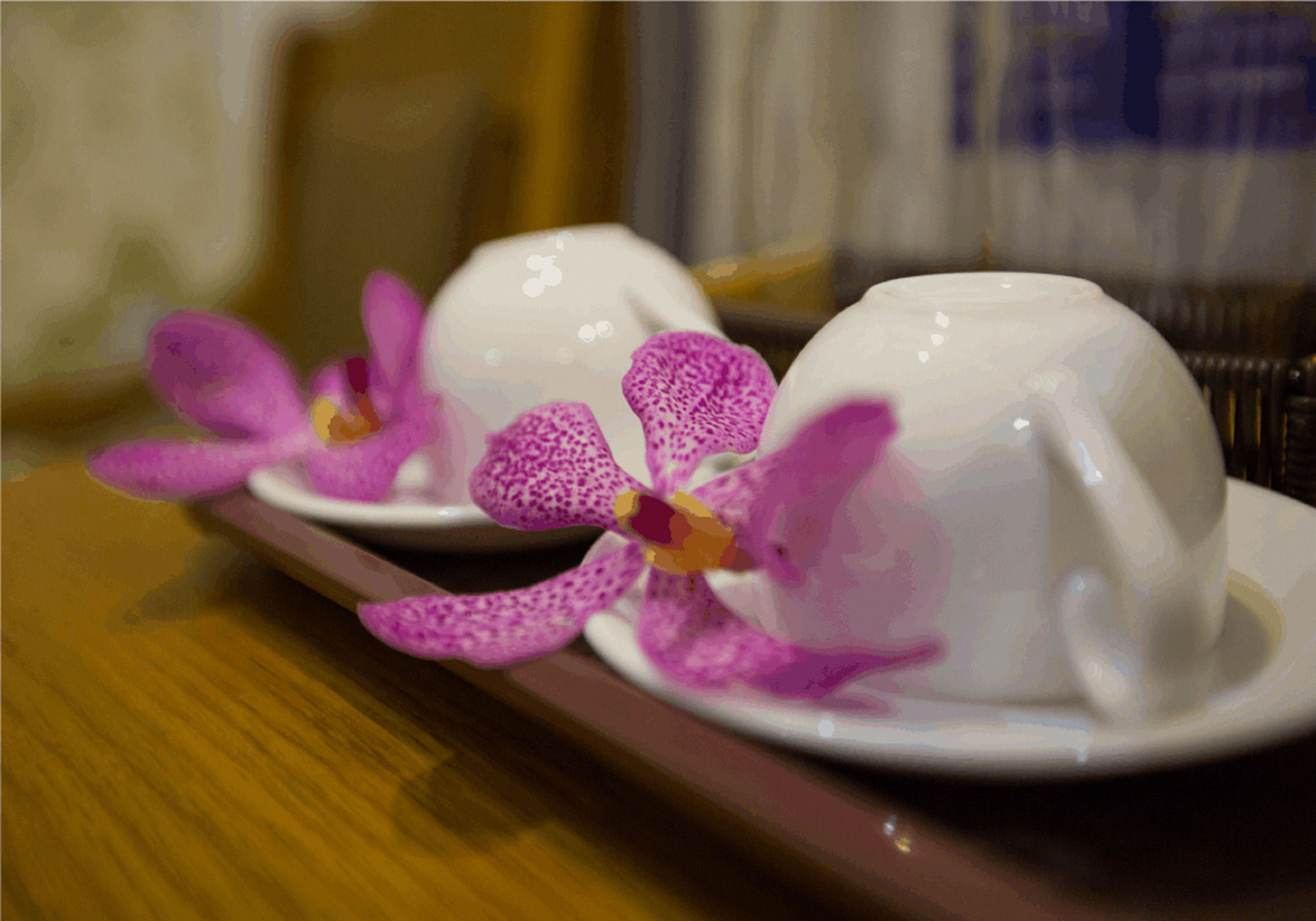 Фото New Space Hotel