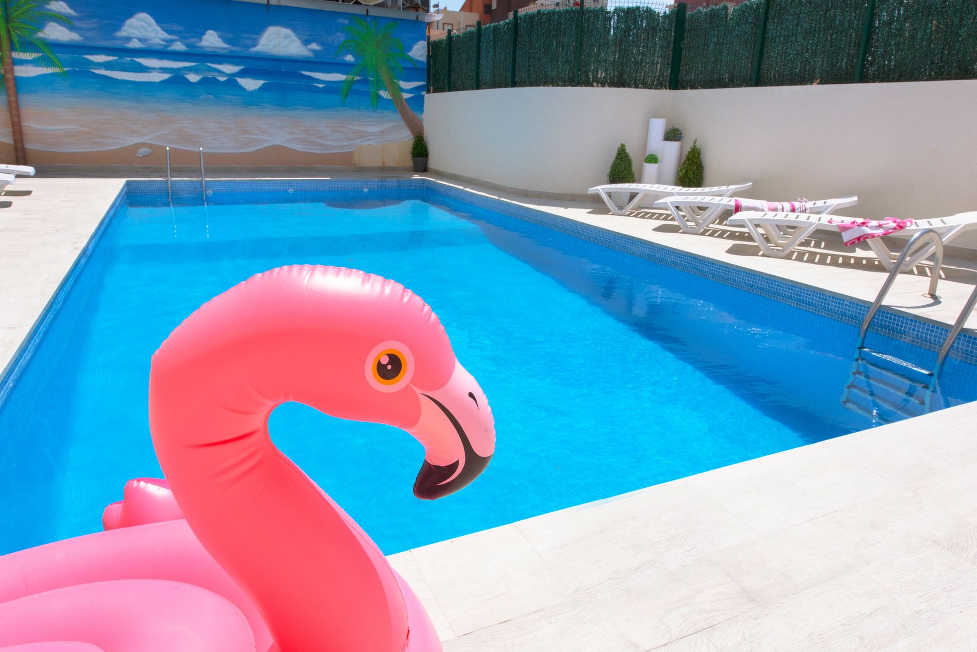 Фото My Pretty Payma