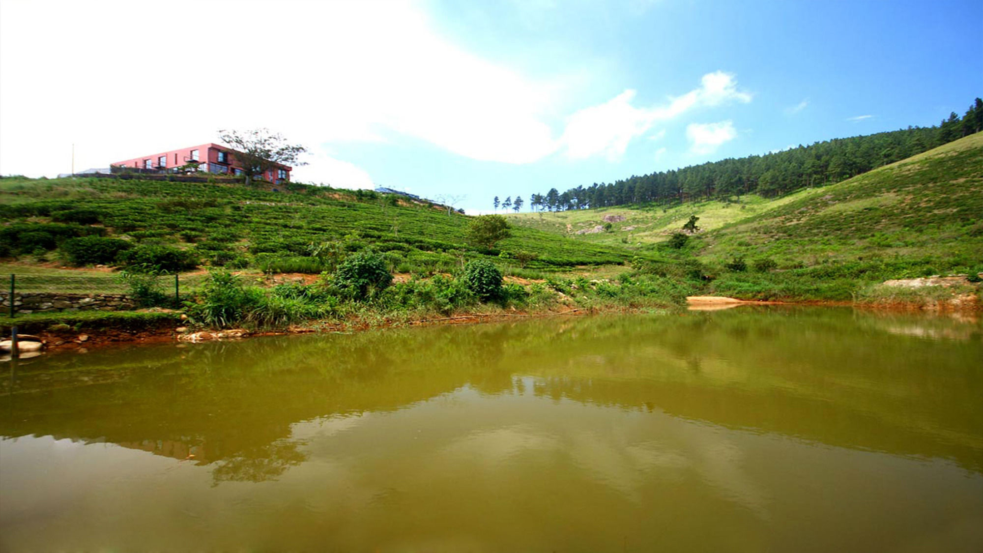 Фото Windloft Retreat