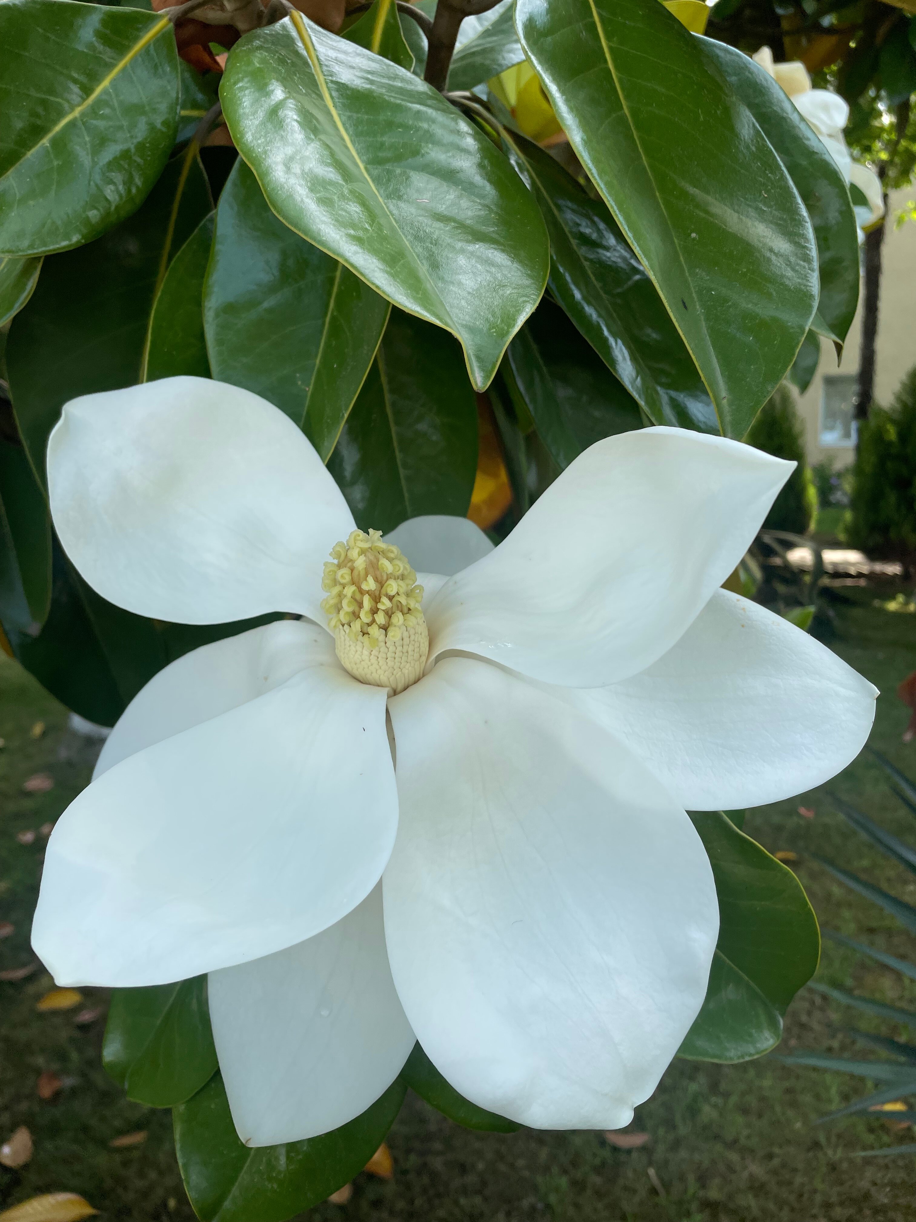 Фото Лазурный берег