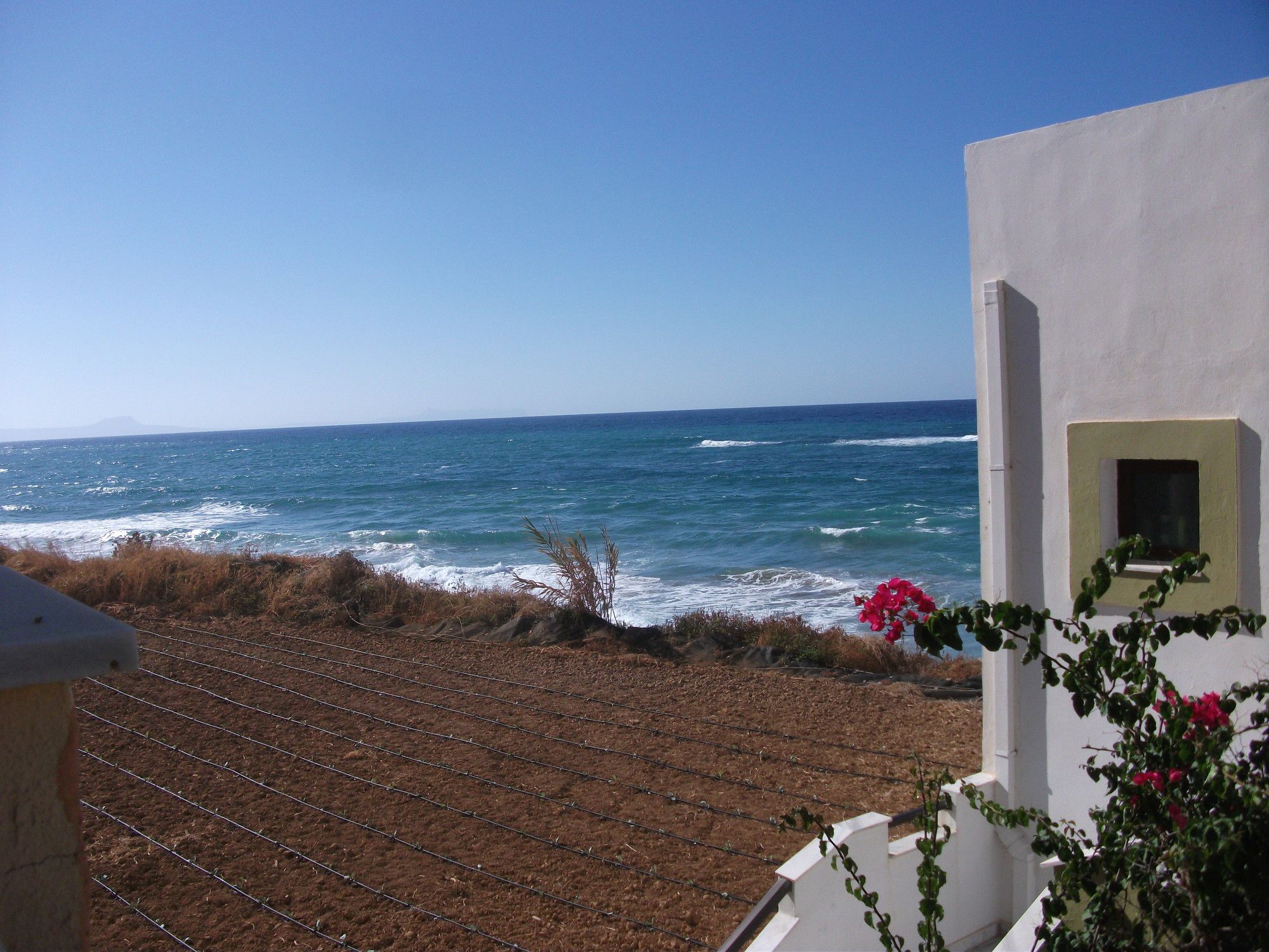 Фото Almyra Apartments