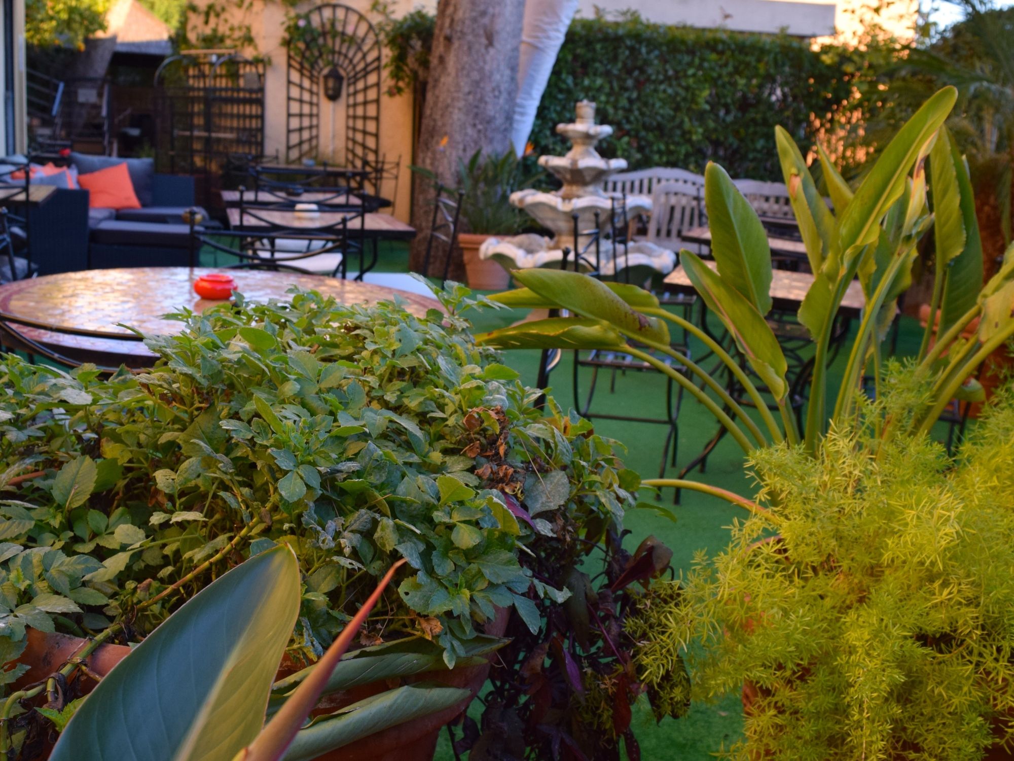 Фото Hôtel Petit Palais