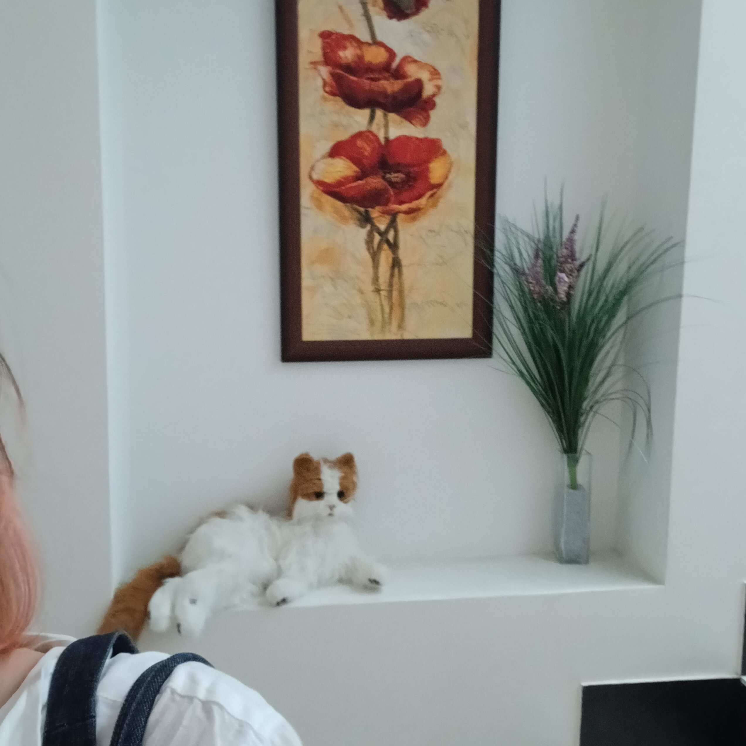 Фото 4 Сезона