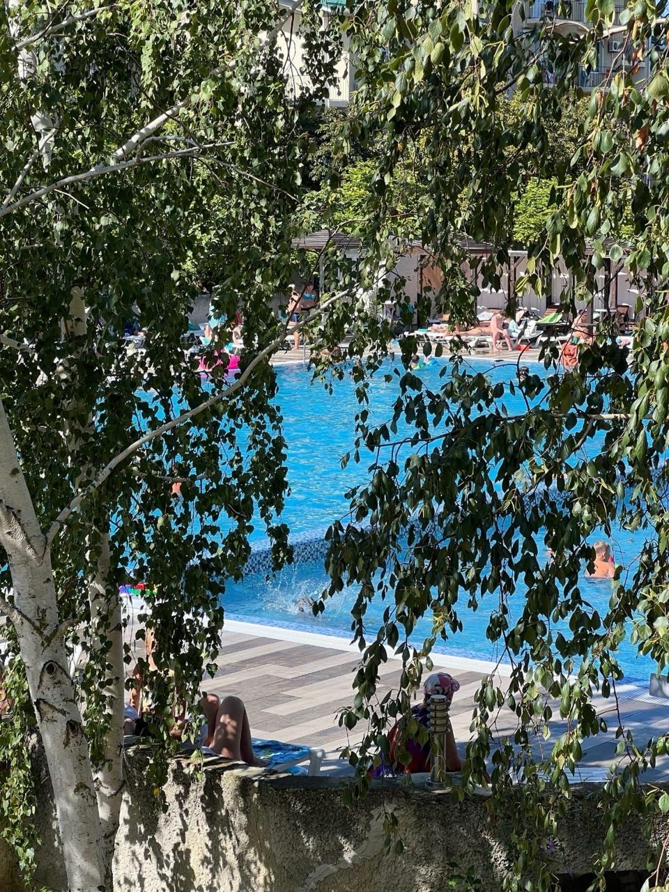 Фото Леонардо