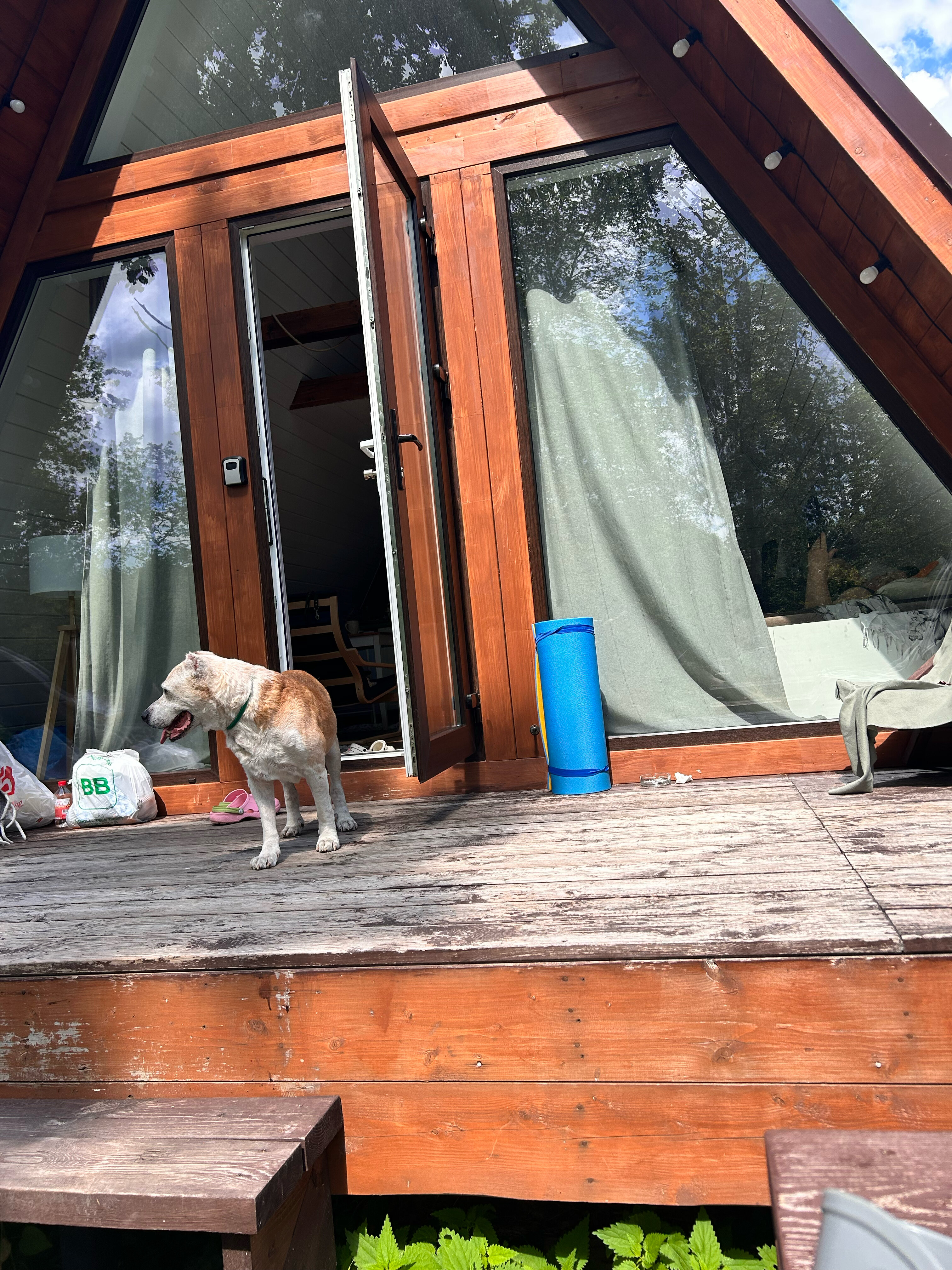 Фото Indie House