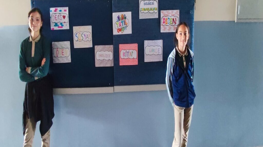 School Taskisigi Middle School, Adapazari, photo