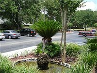 Гостиница Hometown Inn & Suites Jacksonville - Butler Blvd. Southpoint
