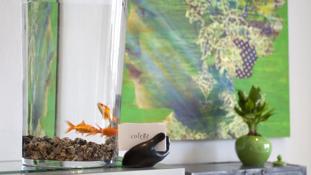 Фото Yelo Lumière by Sonder