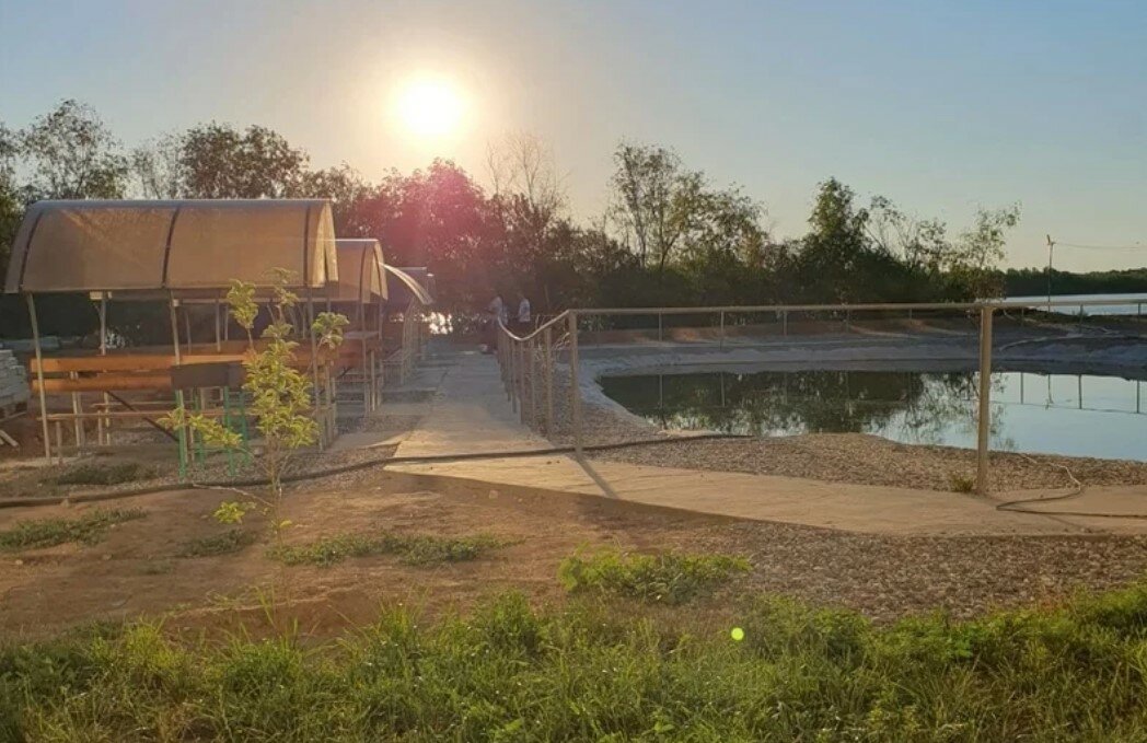 Фото Белый лев