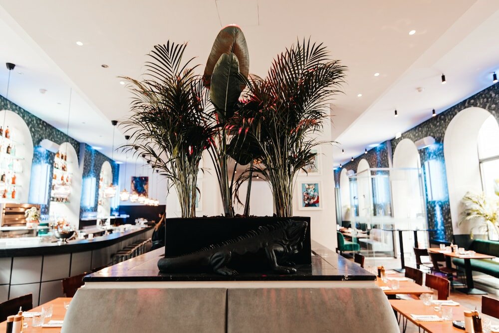 Фото 213915297667