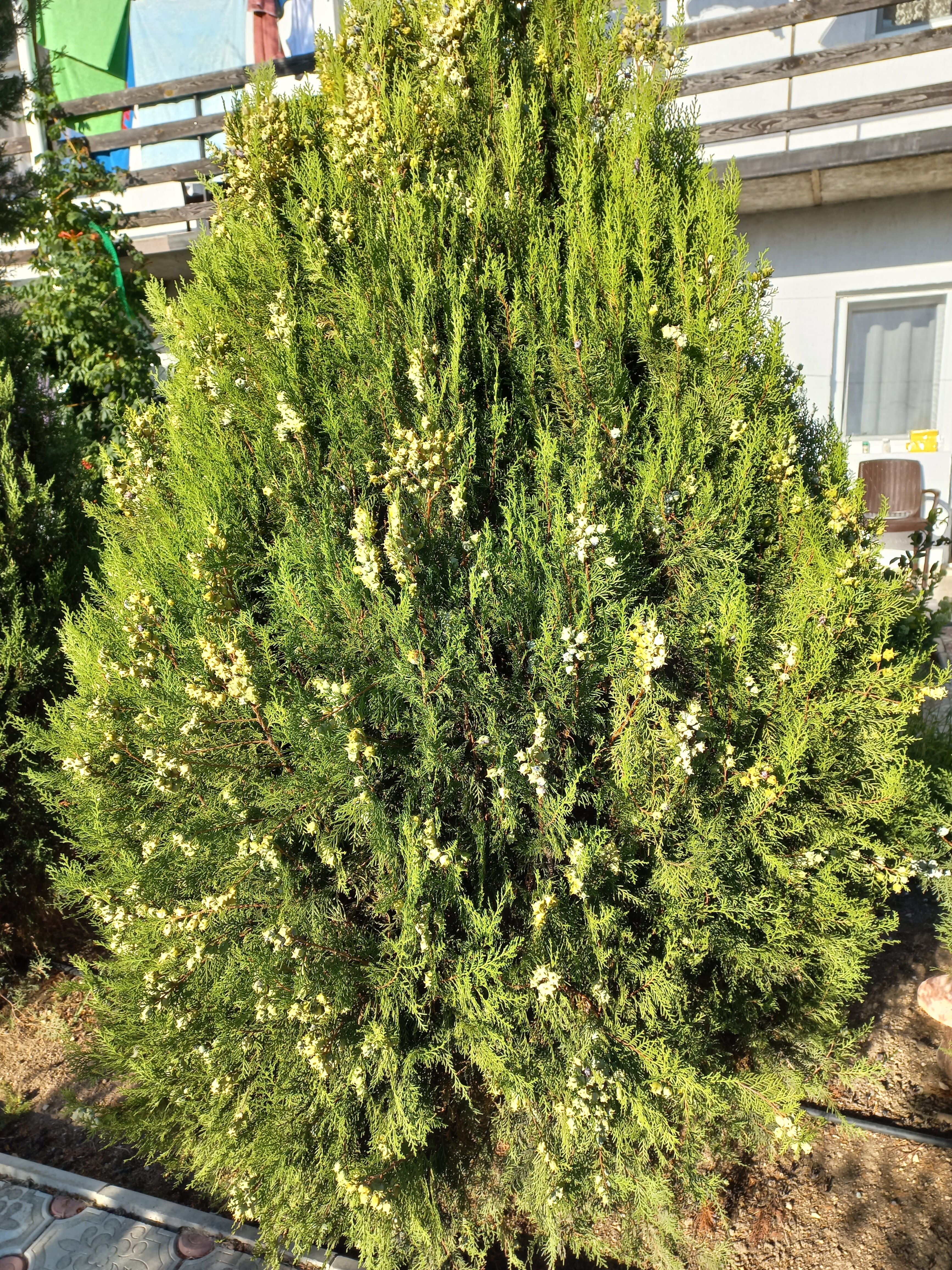 Фото Сахалин