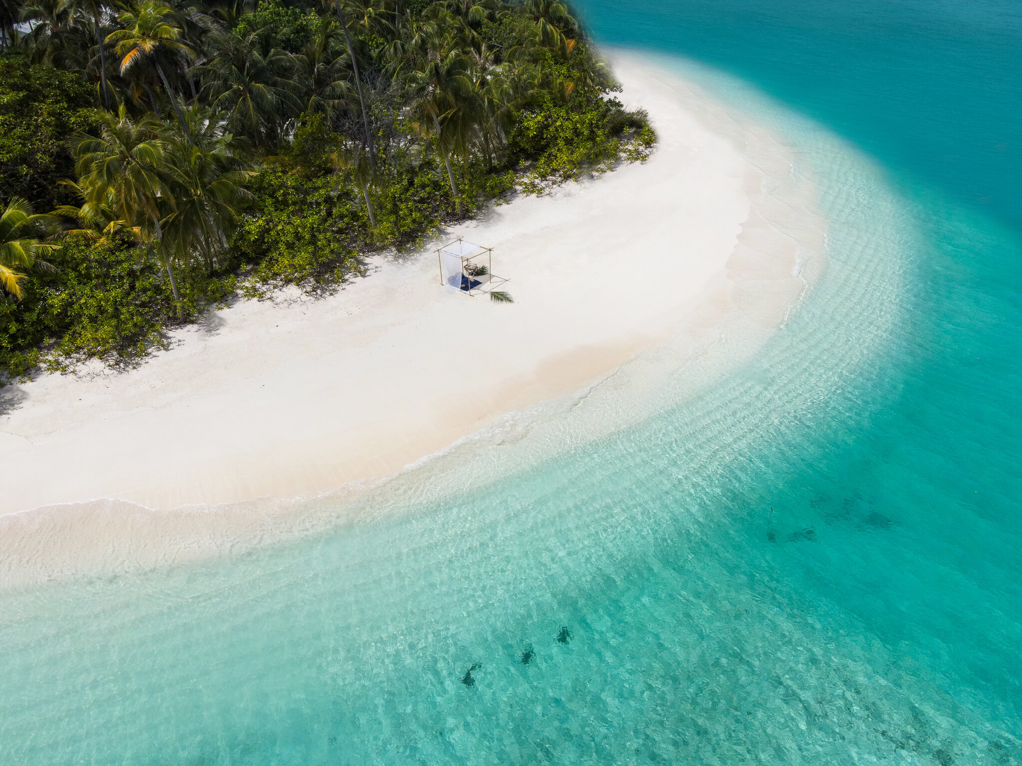 Фото Fiyavalhu Resort Maldives