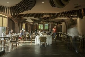 Гостиница The Vine Hotel