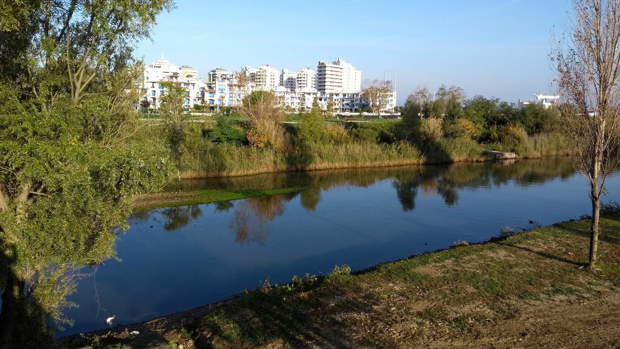 Фото Portoverde Beach Apartments