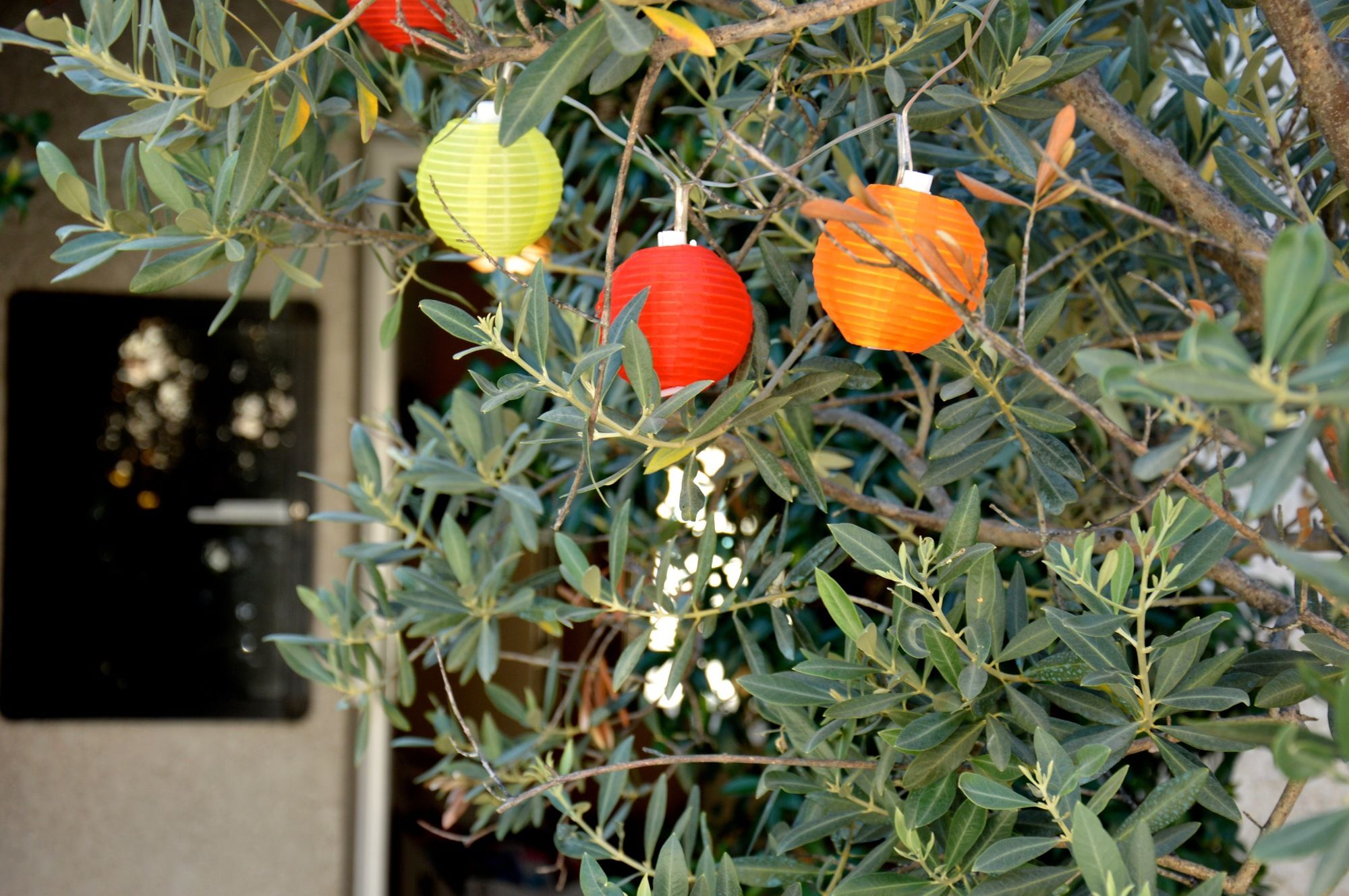 Фото Hotel & Studios Astor