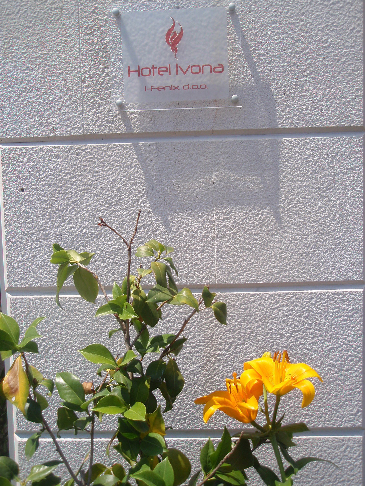 Фото Hotel Ivona Medjugorje