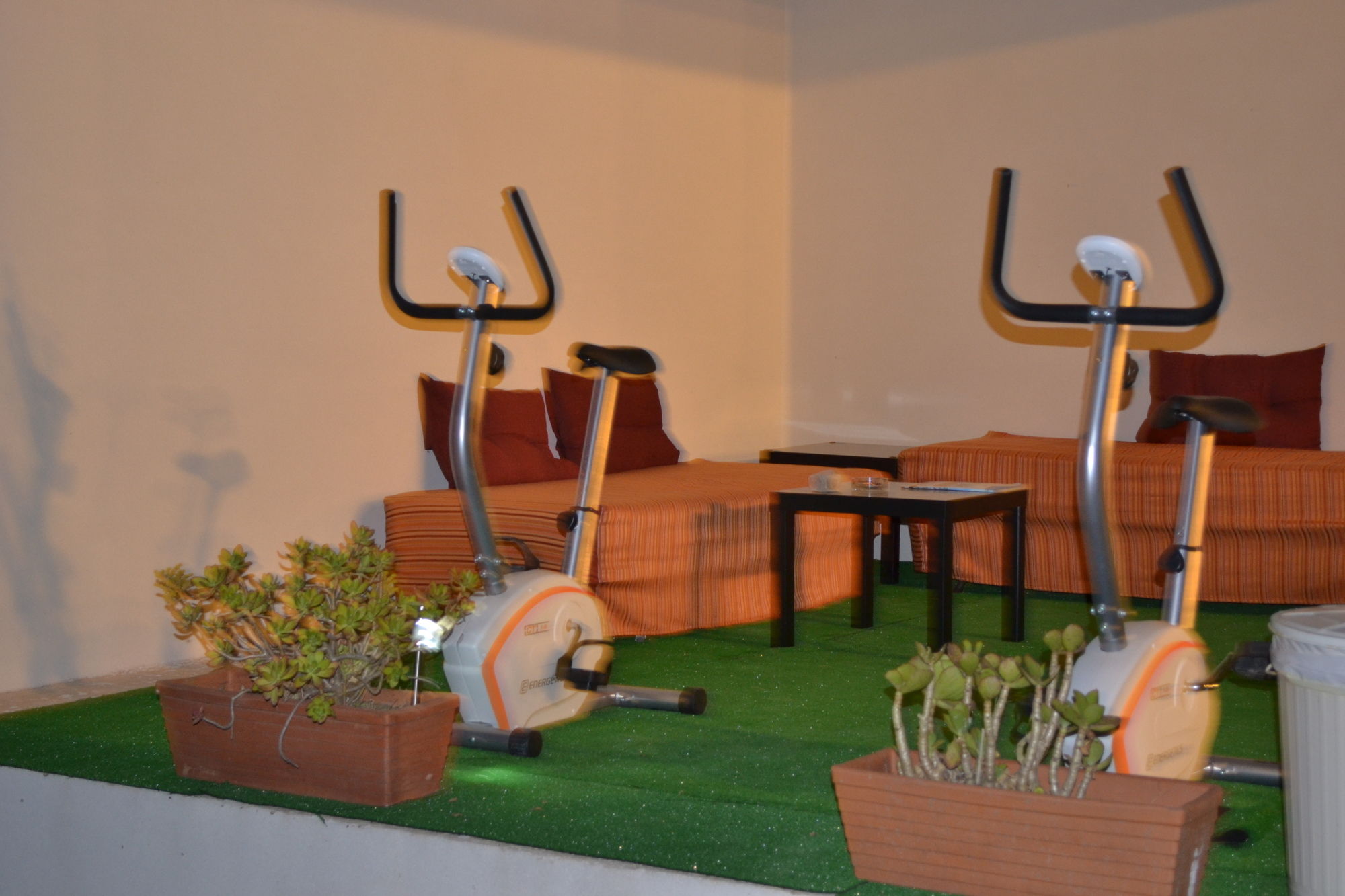 Фото Artemisia Resort