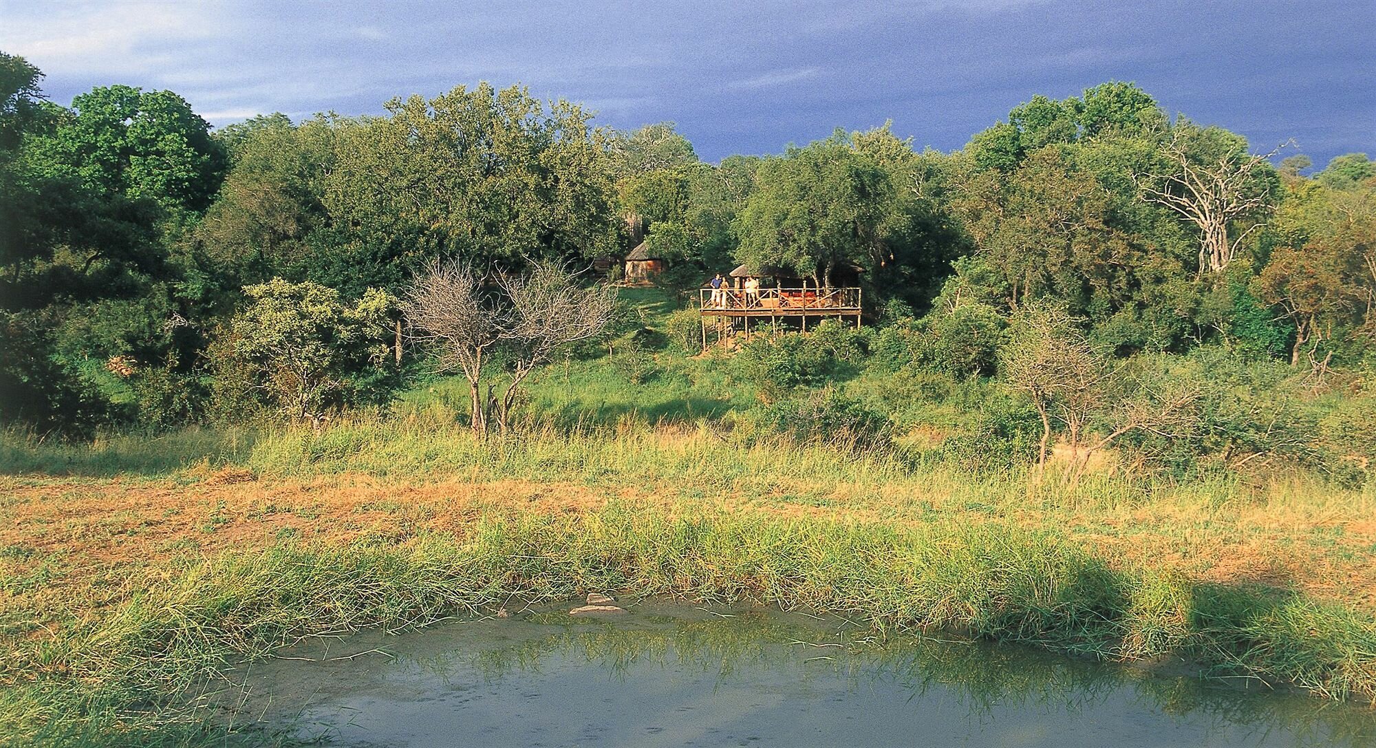 Фото Umlani Bushcamp - Lodge