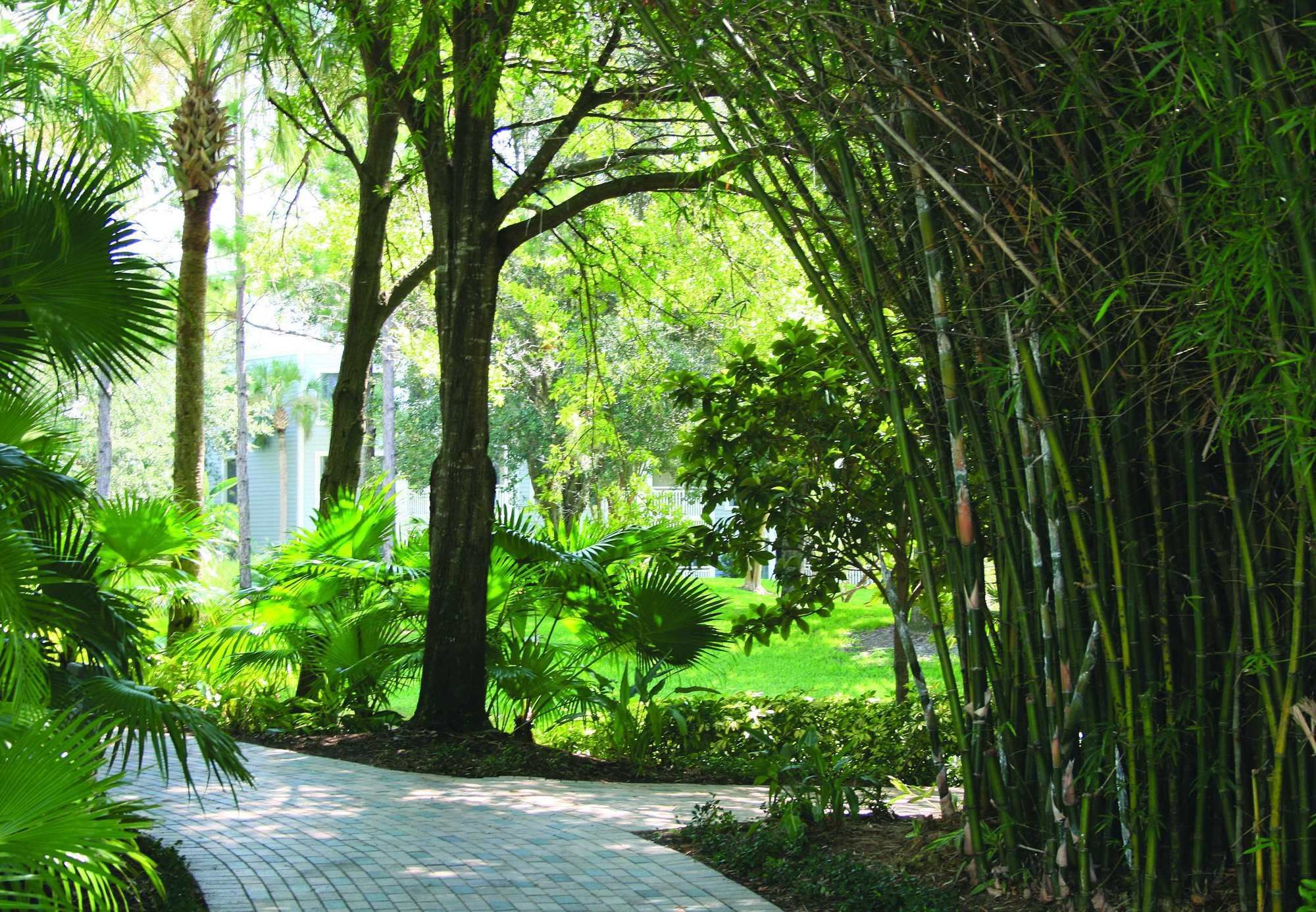 Фото Marriott's Cypress Harbour Villas