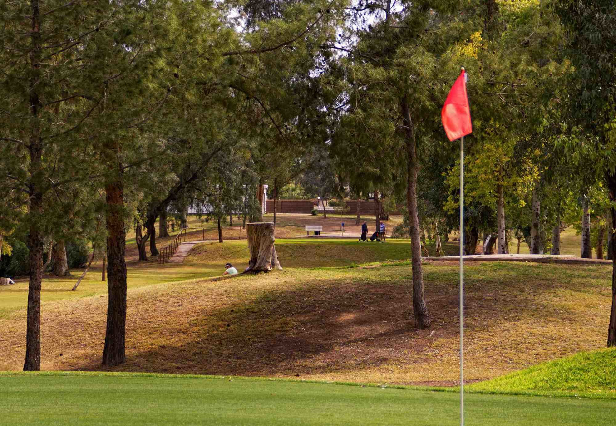 Фото Residence Inn Phoenix Mesa