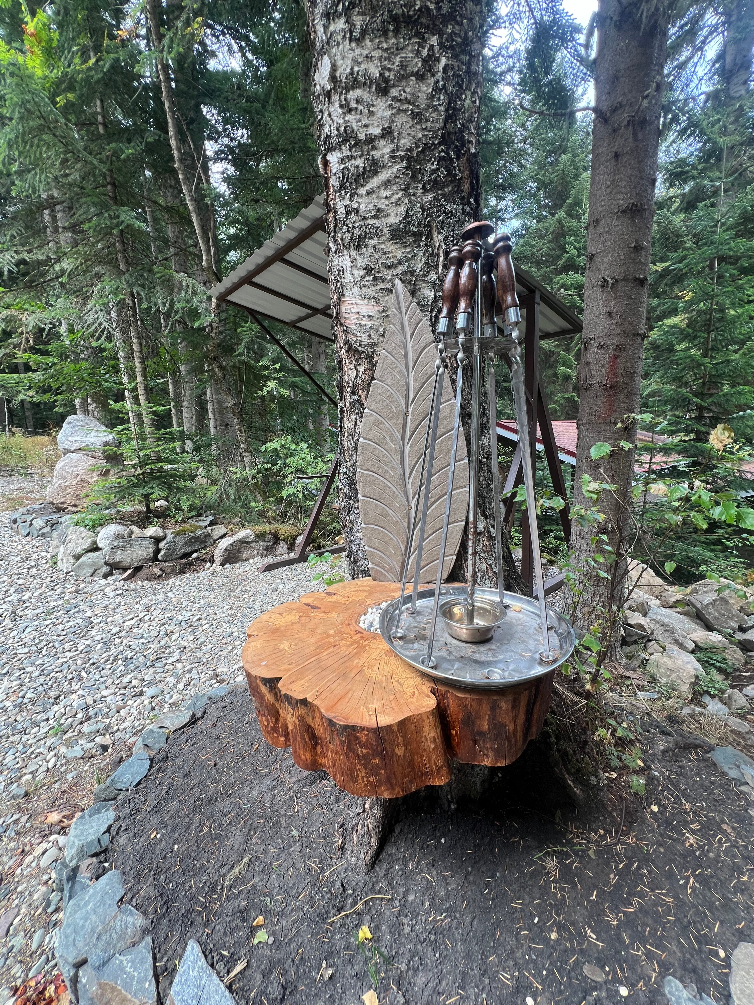 Фото Пихта-парк