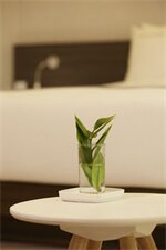 Фото Hotel Forêt The SPA