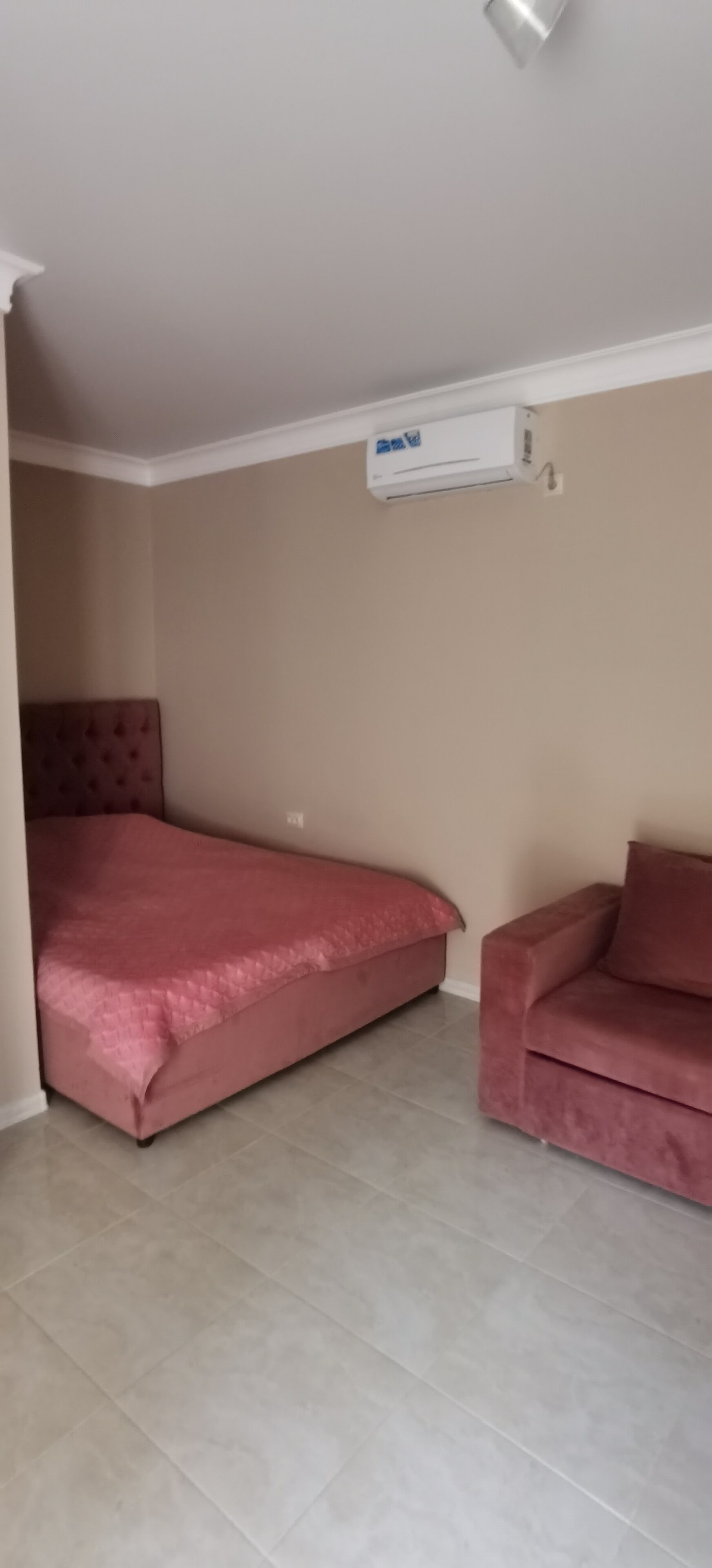 Фото Морская Звезда