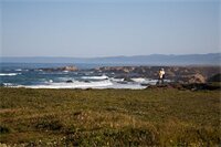 Фото Surf & Sand Lodge