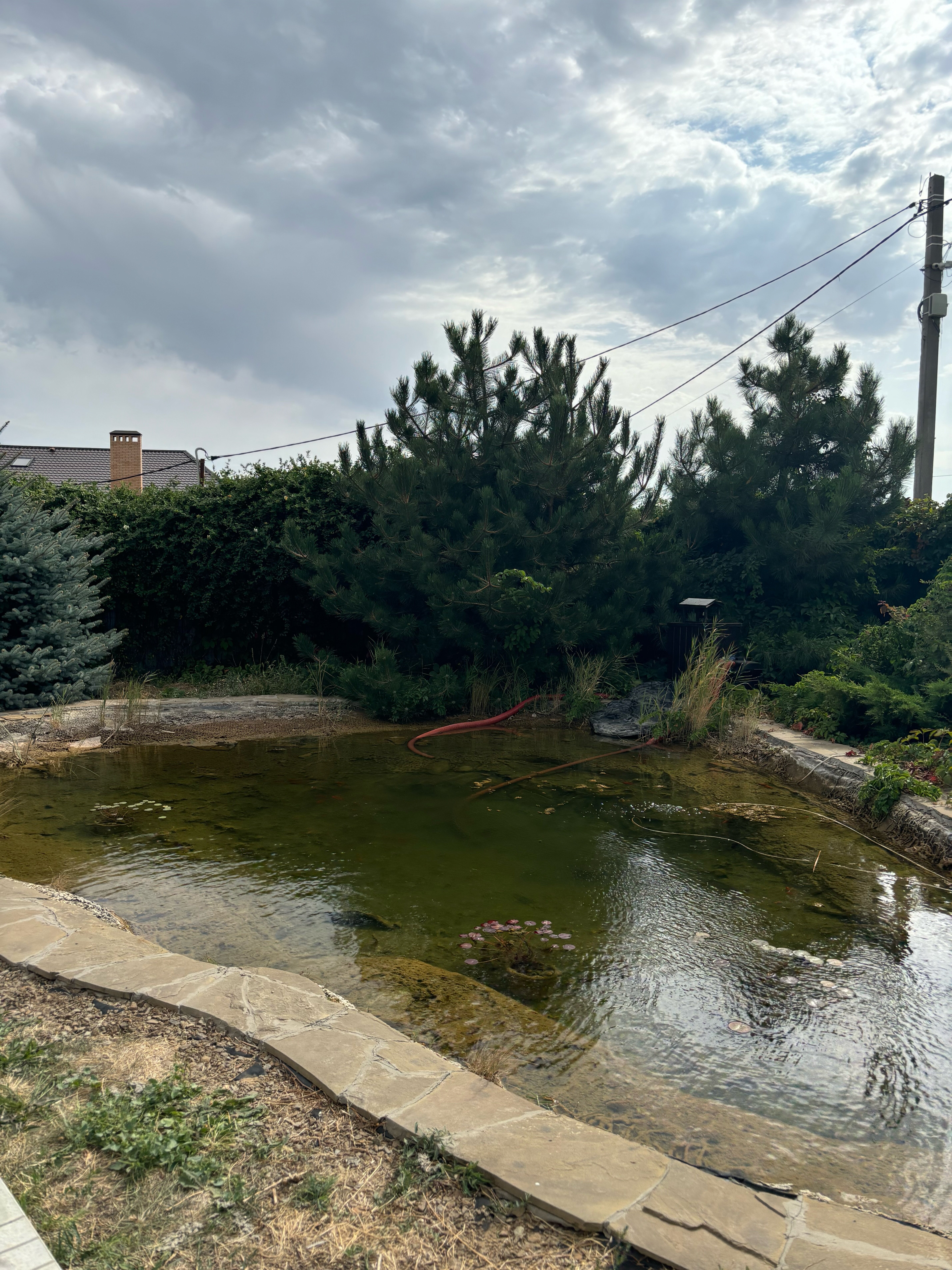 Фото Мишкина Дача