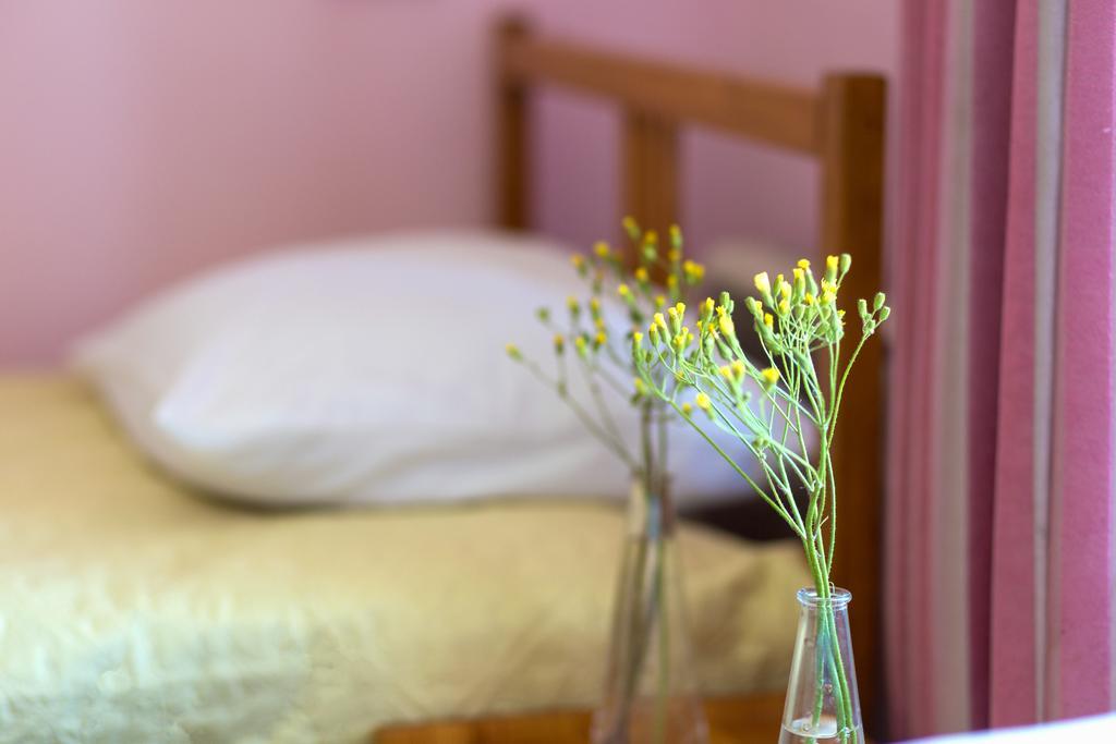 Фото Солнечная