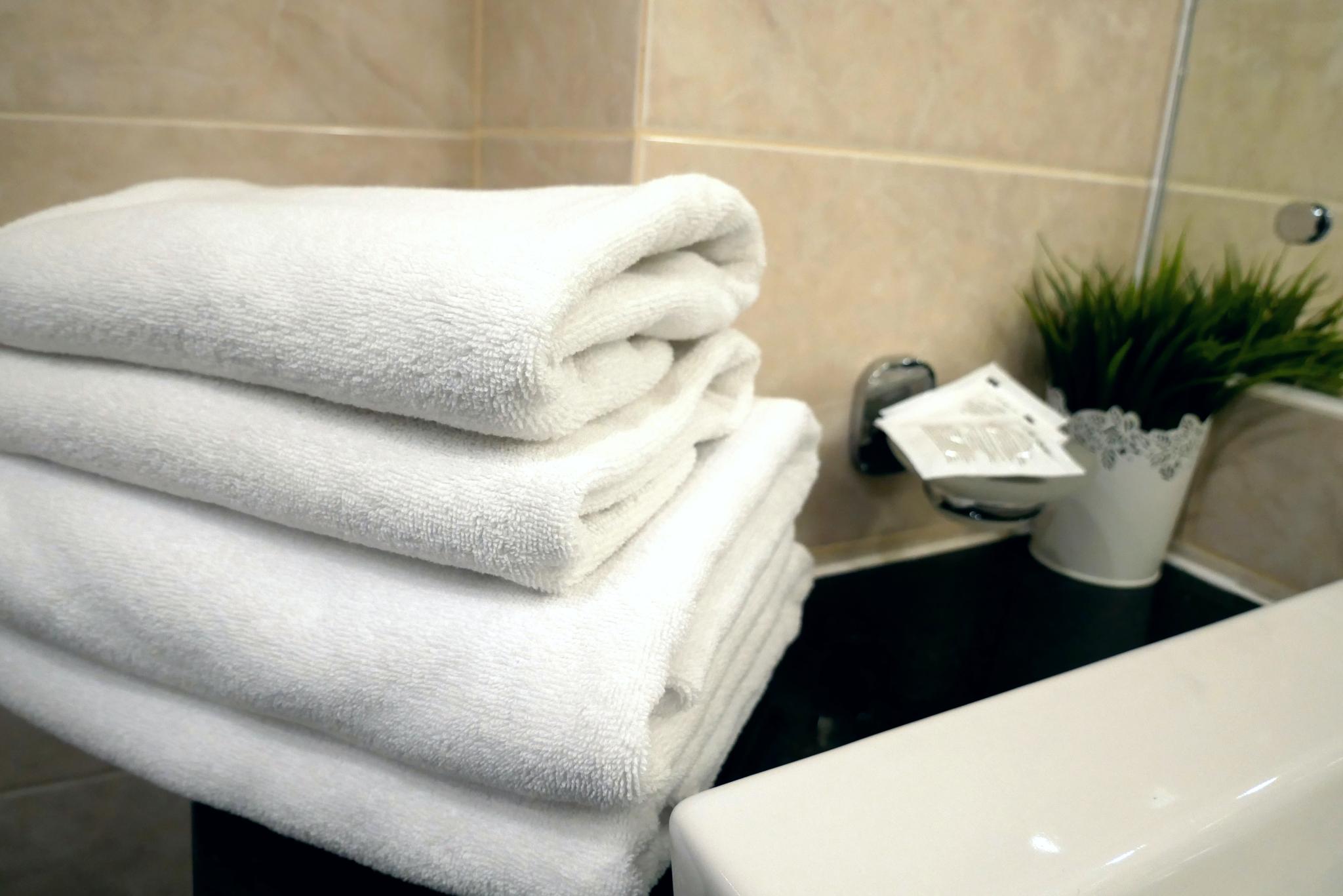 Фото Ковчег