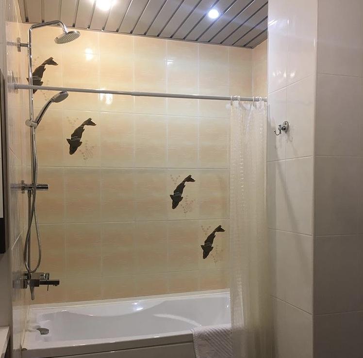 Фото Европейская