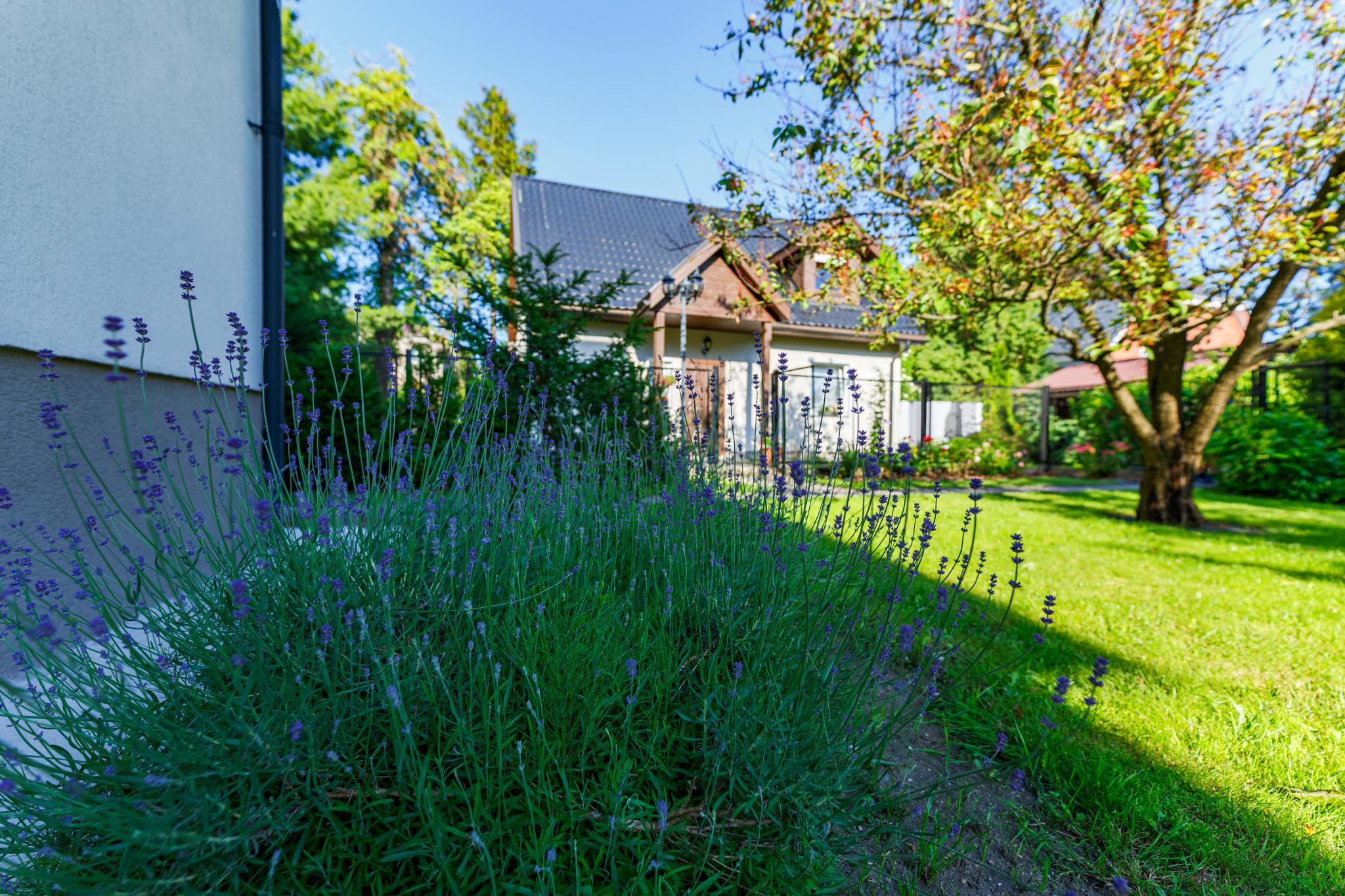 Фото На Каштановой