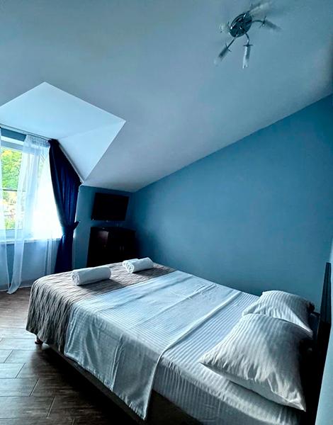 Фото Абрикос