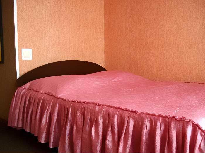 Фото Гвоздика