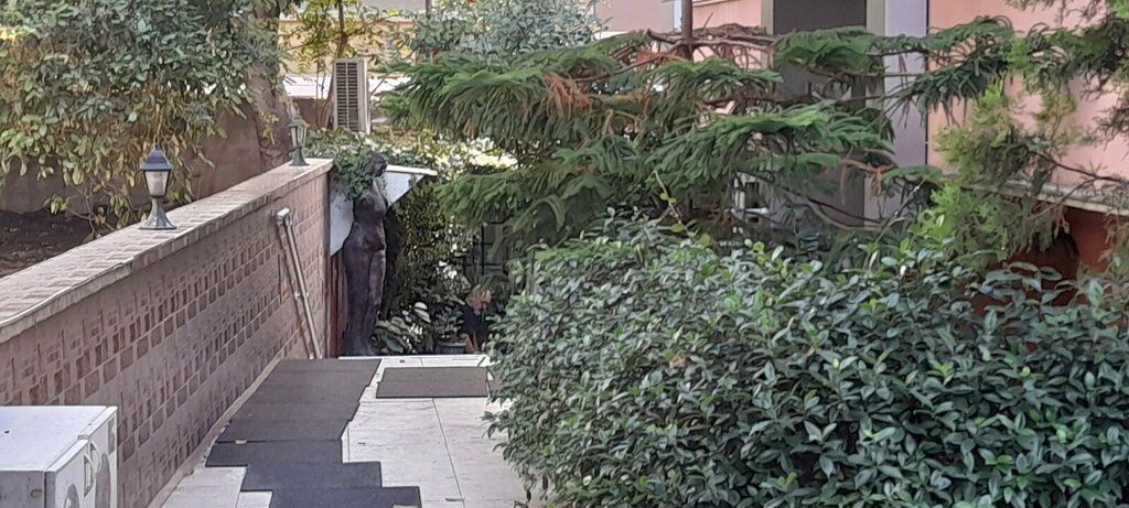 اتحاد تجاري Nar Sanat Istanbul Egitim Ve Kultur Sanat Dernegi ، اسطنبول، صورة